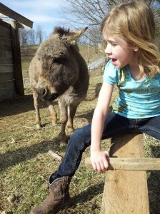 830408_538788112832091_1094634892_o