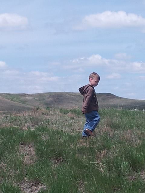 968988_573520956025473_814939345_n