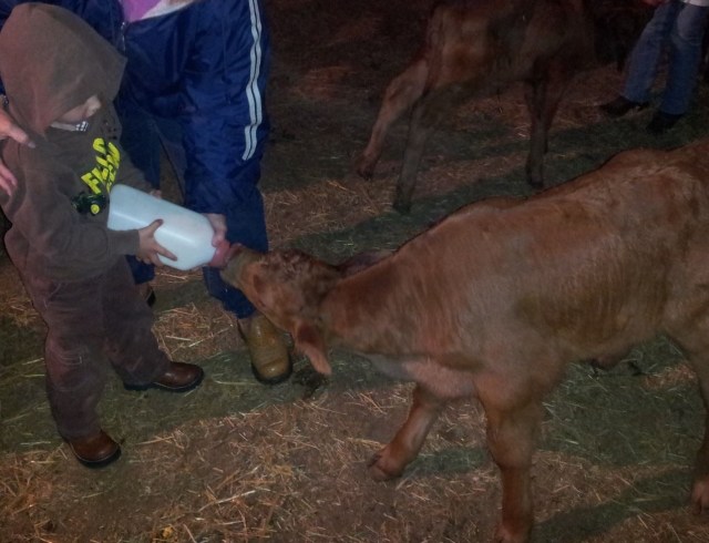 981843_571516712892564_277896742_o