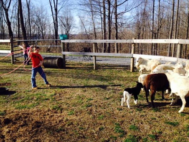 1382375_738930442817856_152282958_n