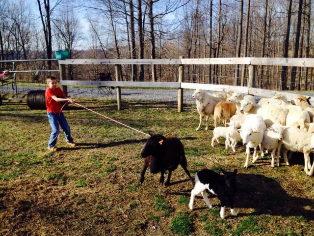 1511362_738930436151190_1525345479_n