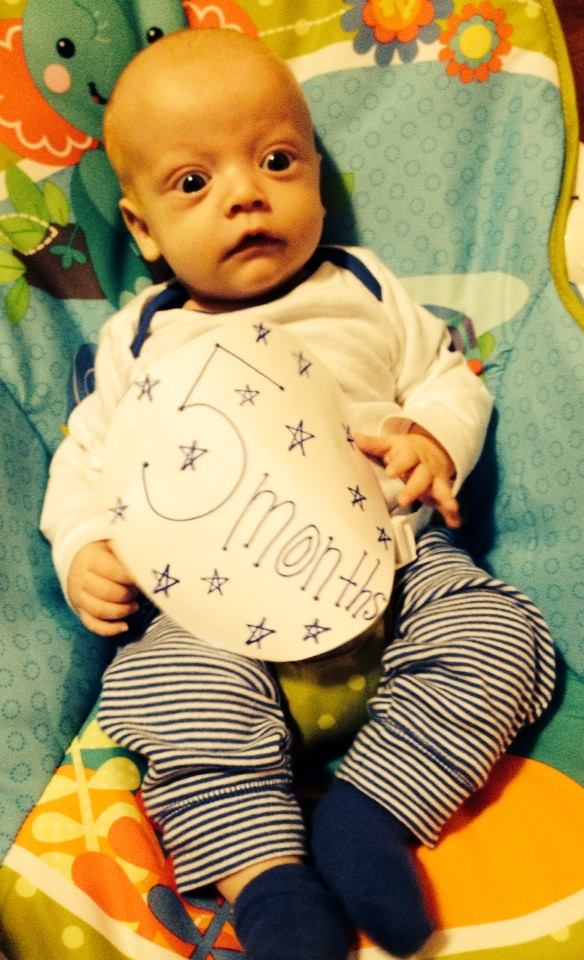 10250114_846988595345373_2323815715067873003_n